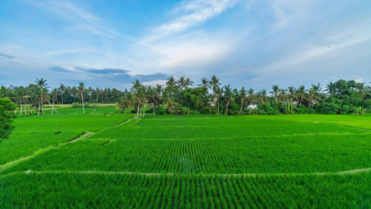Maruan Sari Apartment Ubud  Luaran gambar