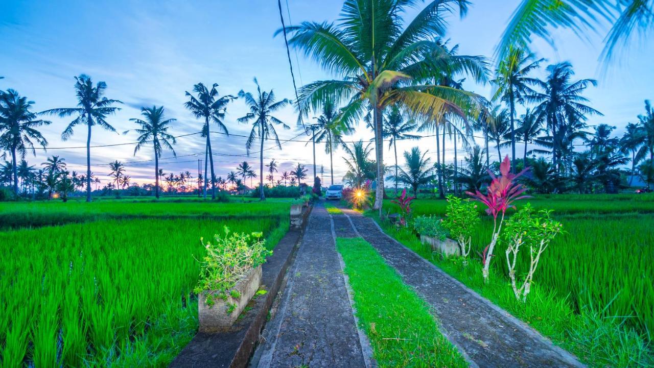 Maruan Sari Apartment Ubud  Luaran gambar